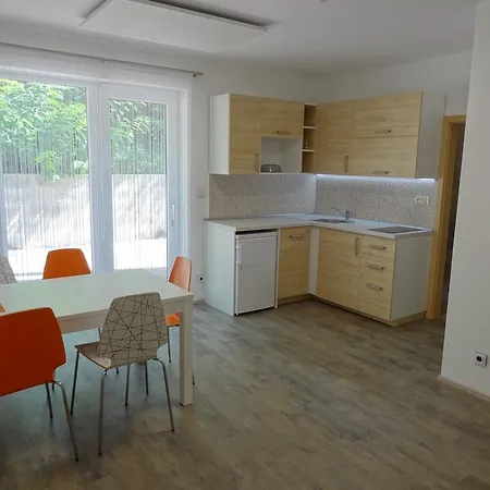 Apartmany Starovice アパート Starovice
