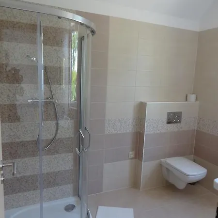 Apartment Apartmany Starovice Starovice